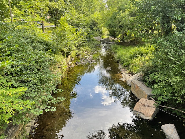 image of Shortridge Park, showing creek with trees and shrubs on the side
