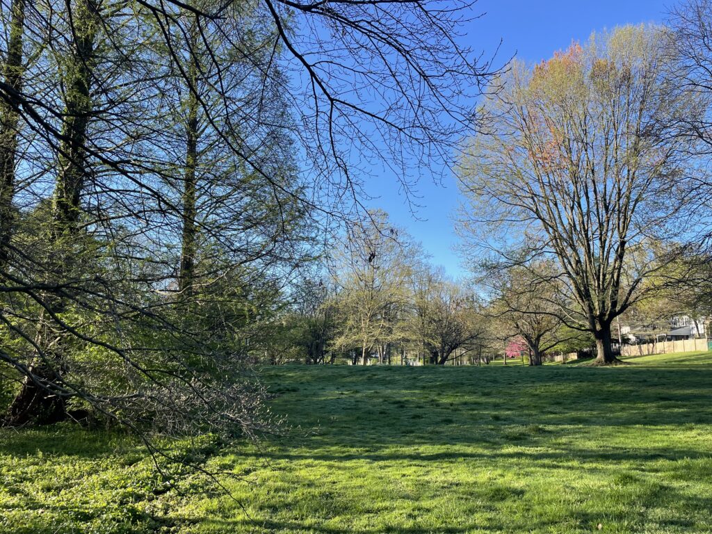 view of Shortridge Park, with green grass in the foreground and trees in the background