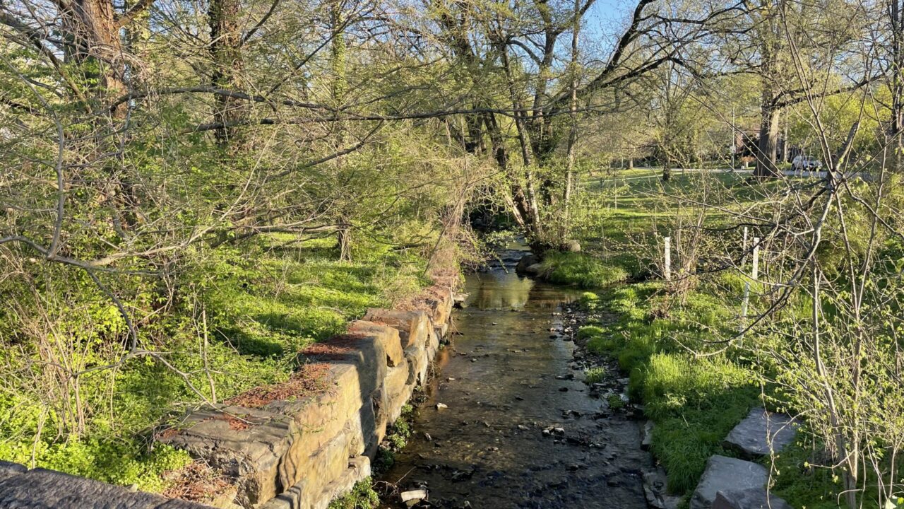 View of the creek in Shortridge Park